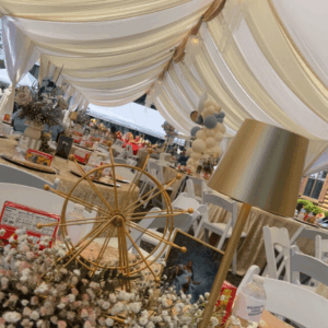 Luxury Package 5 (160 Guests)