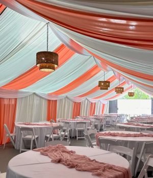 53E10D5D-0EDE-4A0A-9005-5D5EB94365B1