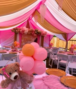 972D858D-D533-4730-8628-9C7ED02A698C