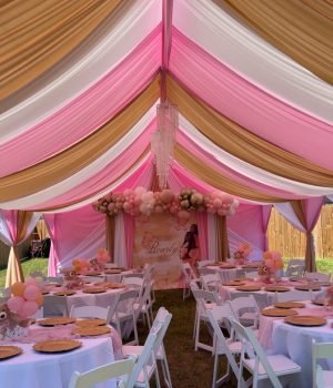 A348238D-B6BA-44CF-9237-BC4F3DD3D183