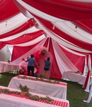 AF43D057-429D-4BA6-81D6-65BD4F9B0418